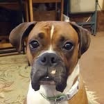 Glenn Crouch - @glenn.crouch.77 - Instagram