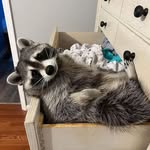 Brent Glen Crowder - @crowder_brent - Instagram