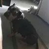 glencunninghamiii - @glencunninghamiii - TikTok