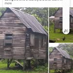 Glenis Desouza - @glenis.desouza - Instagram