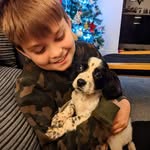 Glen Dewey - @cockerspaniel__benji - Instagram