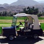 Glen Dobbs - @glendobbs - Instagram