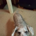 Glenda Dobbs - @glenda.dobbs - Instagram