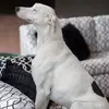 glendobbs679 - @glendobbs679 - TikTok