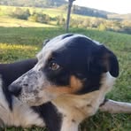 Glen Doyle - Facebook