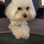 Glennis C. DuBose - @glennisc.dubose - Instagram