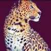 عقارات الدوره 📞 - @glen.duncan6 - TikTok