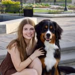 Bentyn Glen Eddy - @bentyntheberner - Instagram