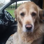Glen Farrow - @farrow6 - Instagram