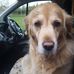Glen Farrow - Facebook