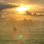Glenfield Tasmania - @glenfield_tasmania - Instagram