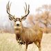 Glen Forrest - Facebook