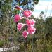 Glen Forrest National Park - Facebook