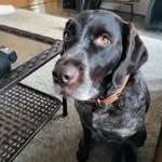 Glenn Garrity - @garrity.glenn - Instagram