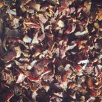 Glen Gibson - @thebiltongexpress - Instagram