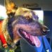 Glen Gibson - Facebook