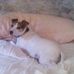 Glen Gill - Facebook