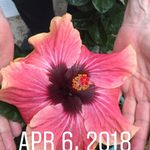 Glen H Gray - @ghgray1234 - Instagram