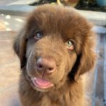 Glen griffin - @glengriffin1 - Instagram