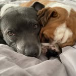 Glen Groves - @glengarnets - Instagram