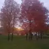 Glenn McGrowder - @glenn.mcgrowder - TikTok