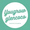yougrowglencoco - @yougrowglencoco - TikTok
