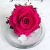 Glenda Hackett - Facebook