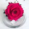 glendahackett12 - @glendahackett12 - TikTok