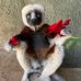 Glen Hancock - Facebook