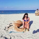 Glen Haley - @glenhaley45 - Instagram