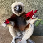 Glen Hancock - @glenhancock59 - Instagram