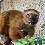 glen hancock - @homer48a - Instagram