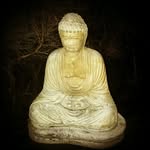 Glen Hannan - @byronbeachcabin - Instagram