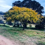 Glen Hannan - @g.r.oh - Instagram