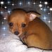 Glenda Harrington - Facebook