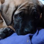 Debbie Trodglen Hatcher - @trodglenhatcher - Instagram