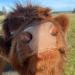 Glenhead of Coachford - @glenheadofcoachford - Instagram