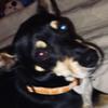 Glenhealyjr noticedmeee - @glenhealyjrfanpage - TikTok