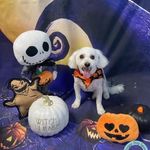 Glen Huff - @ghuff4819 - Instagram