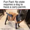 Glen Huffman - @glen.huffman - TikTok