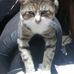 Glen Hutton - Facebook