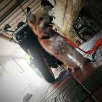 glen irish - @___julie____mwol___ - Instagram