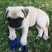 Glen Joyce - Facebook