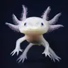 Gmantis - @glenkaufman0 - TikTok