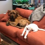 Glen & Keith, Unlikely Friends - @glen_and_keith - Instagram