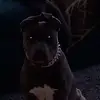 Glenn Kendall - @glenn.kendall - TikTok