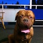 Glen Lockhart - @glen_lockhart - Instagram