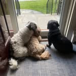 Glenn MacPherson - @glennmacpherson2022 - Instagram