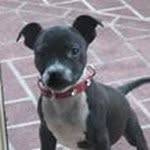 Glen Moffitt - @moffittglen - Instagram