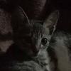 Ashley Glenn - @glennash - TikTok